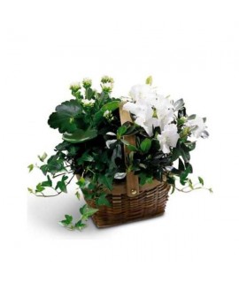 White Assortment Basket White Assortment Basket